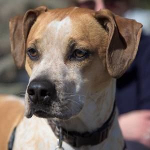 Meet your Posher, Nina